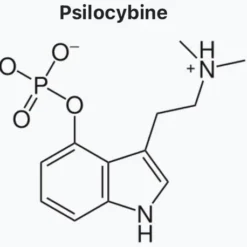 Psilocybin Shrooms