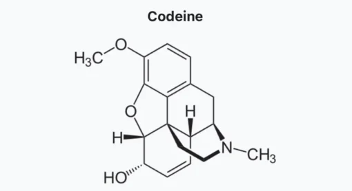 Lean Syrup: Codeine Cough Syrup Facts And Effects